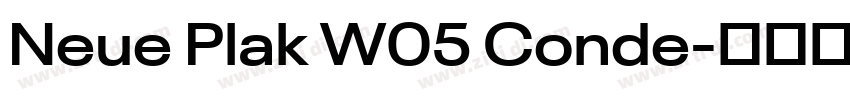 Neue Plak W05 Conde字体转换